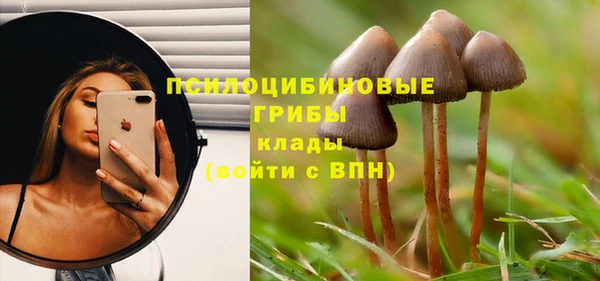 дмт Михайловка