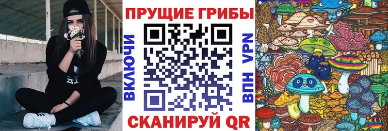 hydra ТОР  Ивангород  Галлюциногенные грибы Cubensis  где можно купить наркотик 